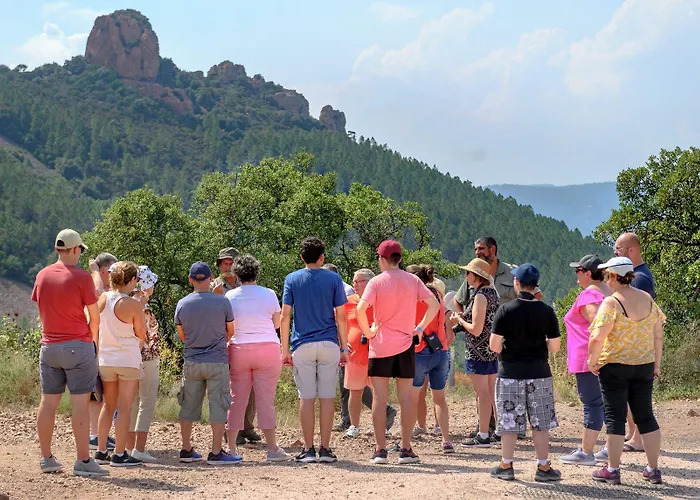 Resort Village Club Les Mas De L'esterel